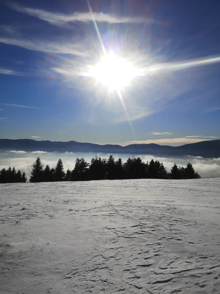 Slivnica pozimi